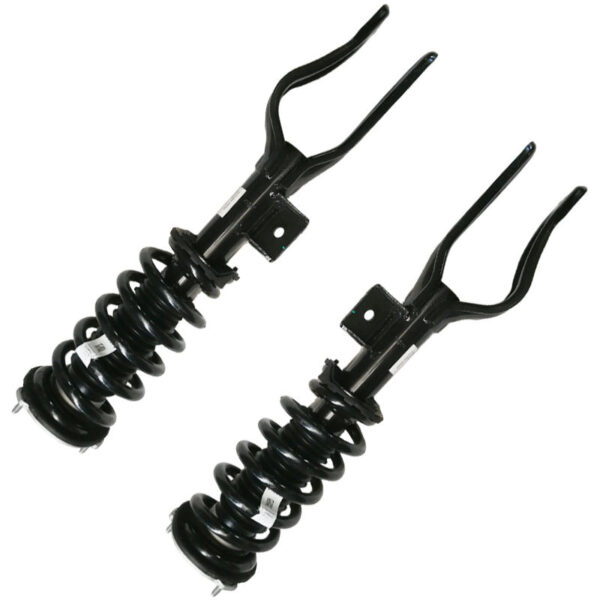 Tesla Model 3 Y Shock Absorber Springs