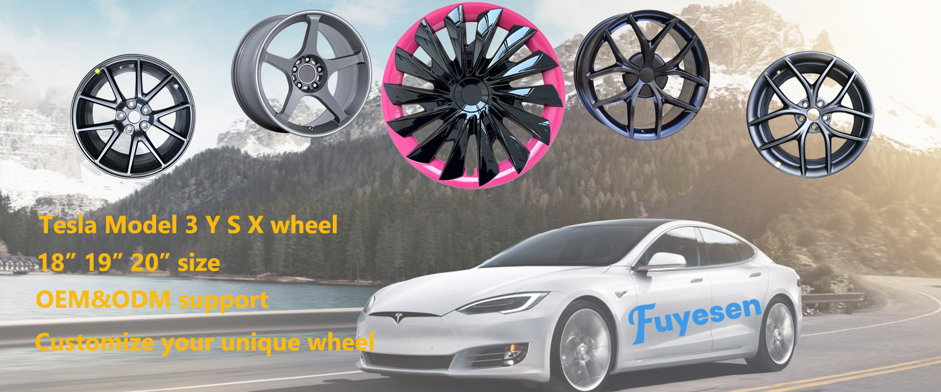 tesla wheel banner