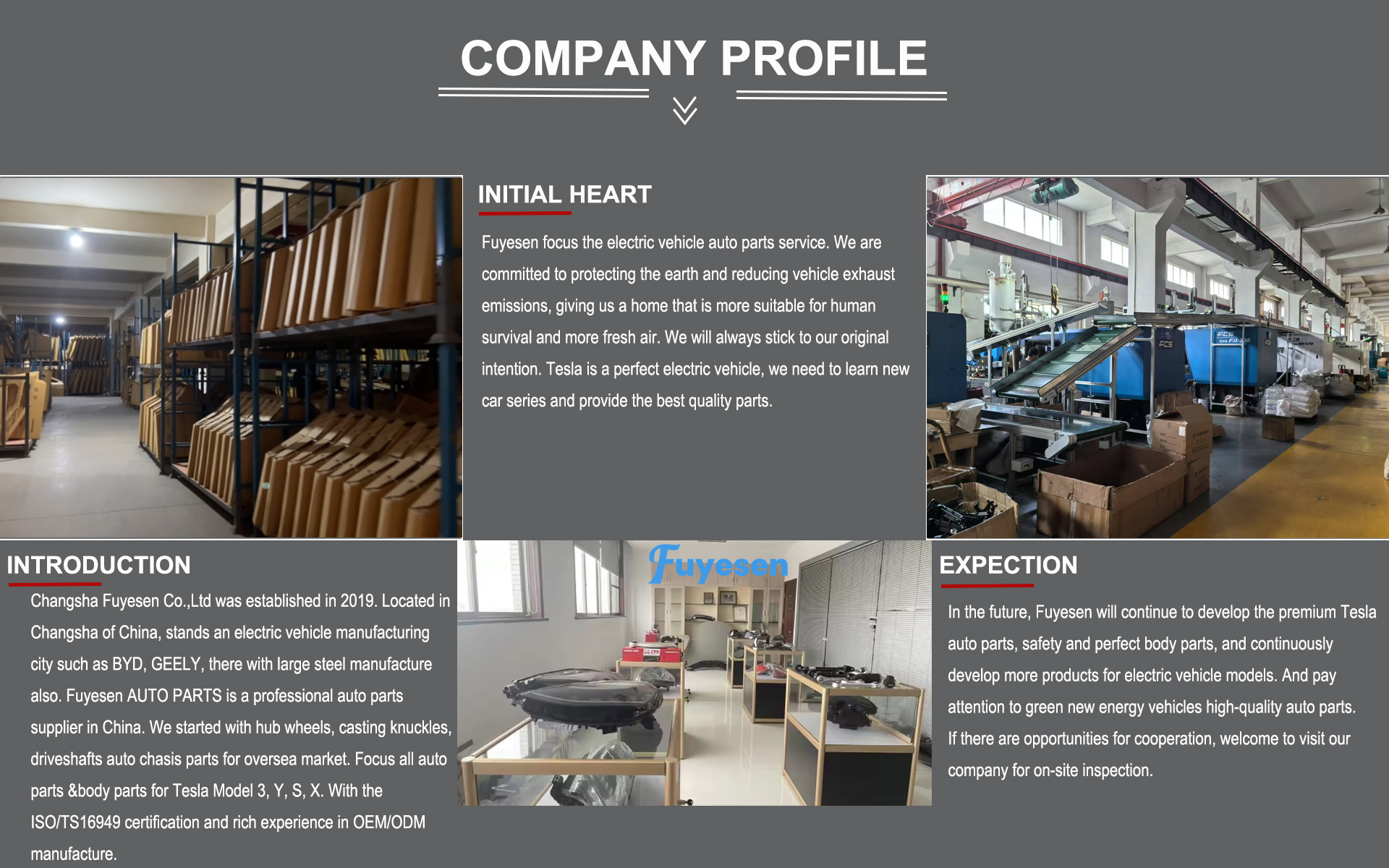Fuyesen company profile